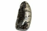 Free-Standing, Polished Septarian Geode - Black Crystals #302868-2